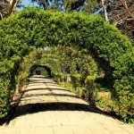 Arch in the garden 14