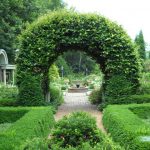Arch in the garden 16