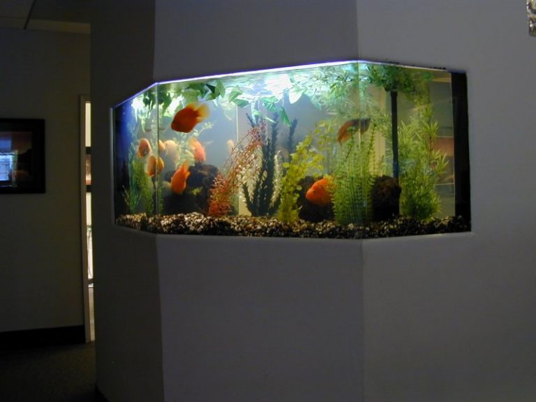Напольный аквариум в интерьере