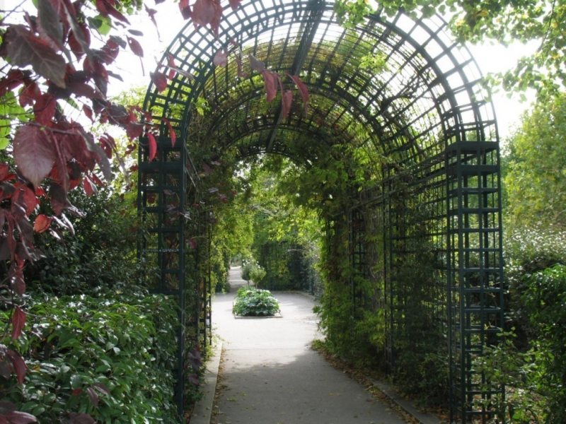 Arch in the garden 1