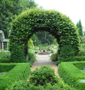Arch in the garden 16
