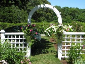 Arch in the garden 23